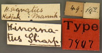 Media type: image;   Entomology 7407 Aspect: labels